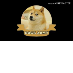 Doge United -[BETA-]