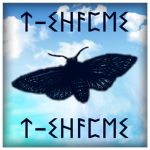 T-SHAPES