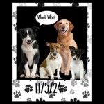My dog group!