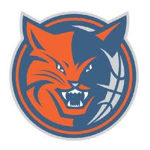 Charlotte Bobcats (Ro-NBA)