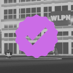 Weryfikacja | WLPN