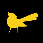 Birdie Studios