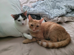 Max and yoda