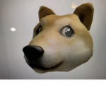 Doge The Best Group