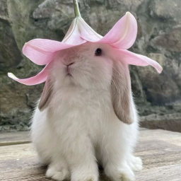 ♡