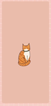 Aestheticpookie