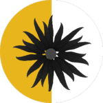 Reino de Galios