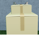 the box plays fan club