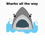 Sharks all the way