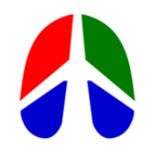 Roblox-Liberty International Airport Staff