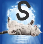 S Corps Group Thumbnail
