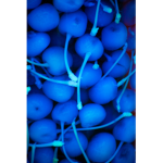 Blue Cherries