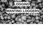 Logging