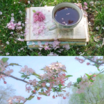 tea tıme