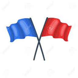 capture the flag fighting game
