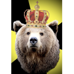 Bear castle
