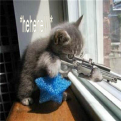 terrorist cat Roblox decal
