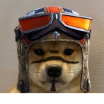 Doge Scout Raiders