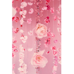 soft aesthetics clothing group