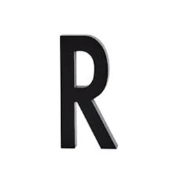 R icon