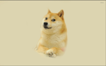 .Doge Studios