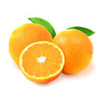Bush Raiders [Orange Division]