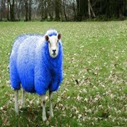 Survival the blue sheep with legs the killer