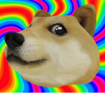 The Doge Group_
