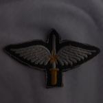 SPECIAL SΕRVICΕ WING