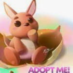 Babysitting pet club