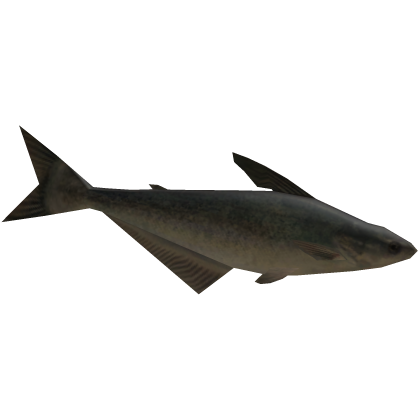 Cool Fish - Roblox Item | RobloxDB