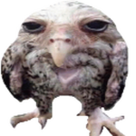 DH_OWL