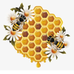 Honey...Bees