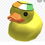Duck from Ireland group