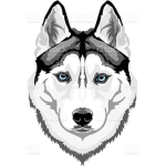 Gaming Husky Fan Group