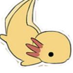 Epic axolotls and stuff