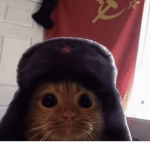 AHHHHHHHHHHHHHHHHHHHHHHHHHH HHHHHHHHHHHHHHHHHHHHHH