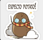 Po…….tat…….oe……….