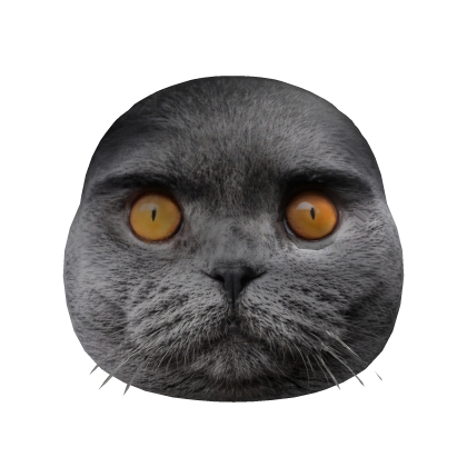 Folk Cat