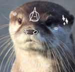 friend group for therians under 13 yrs