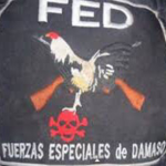 [FED] Fuerzas Especiales de Damaso