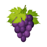 JustGrape