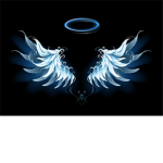 The Wings Of An Angel