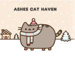 Ash's Cat Haven!!!