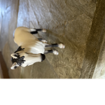 Schleich fun awesome horse Group