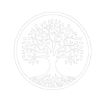 [NPS] Newport Primary School
