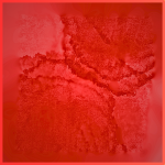 Clay's Croup