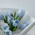 BlueRoses672