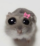 R4spberryy