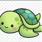 Terry the Turtle